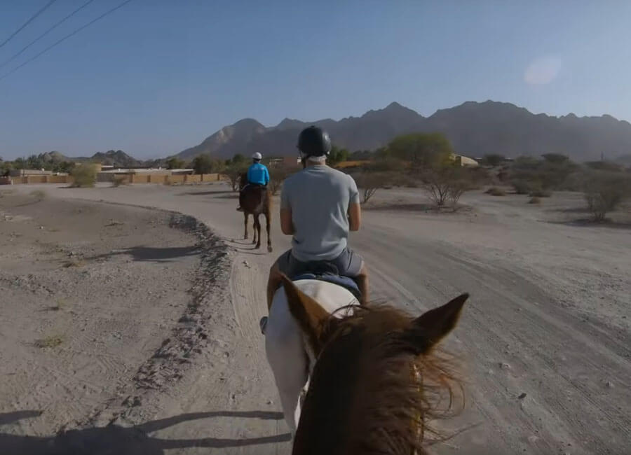 6-horseback-riding-equestrian-and-horse-ride-tracks-in-hatta-fort